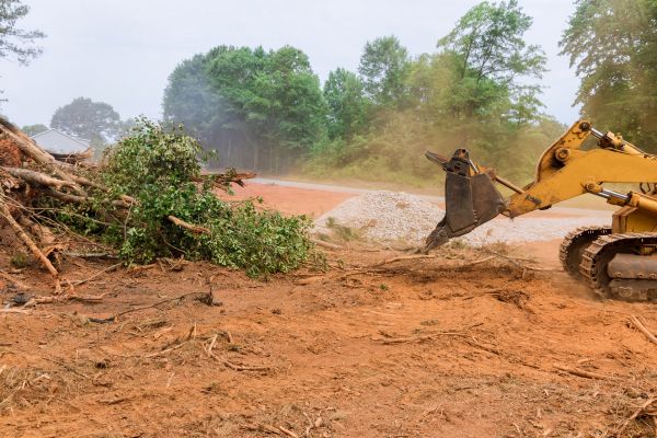 Ground Clearing in Lake City