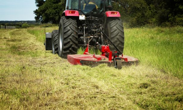 Brush Clearing Service in Lake City