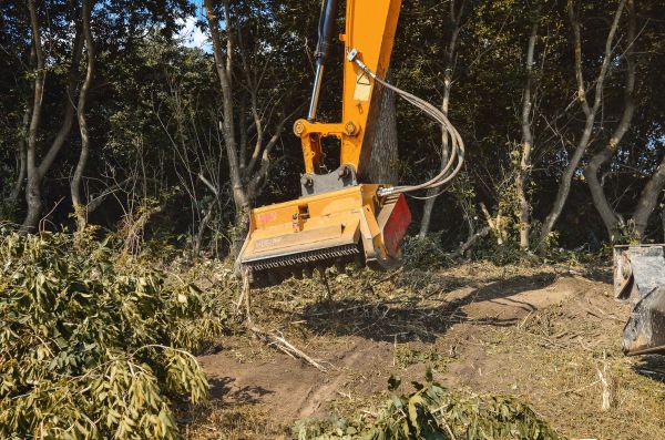 Brush Removal Service in Lake City