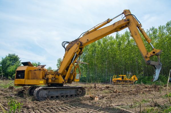 Farm Clearing in Lake City