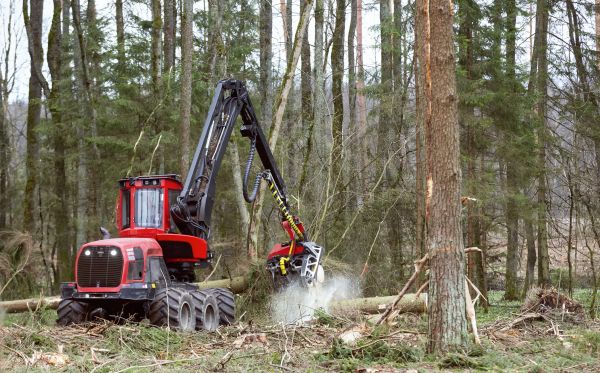 Forest Clearance Service in Lake City