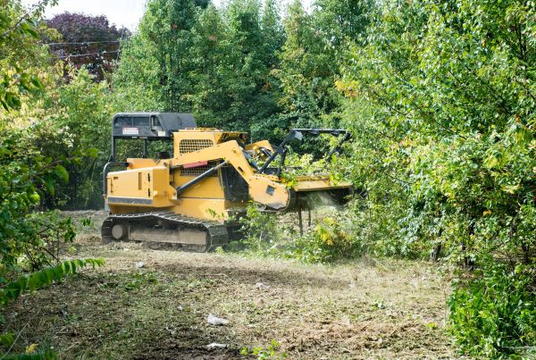 Pathway Clearing in Lake City