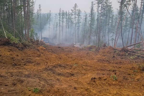 Hill Clearing in Lake City