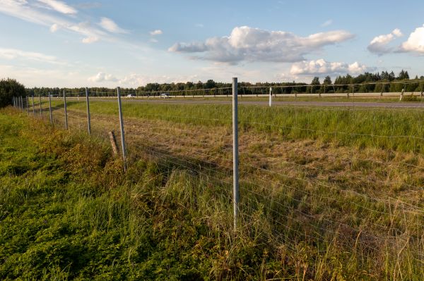 Property Line Clearing in Lake City