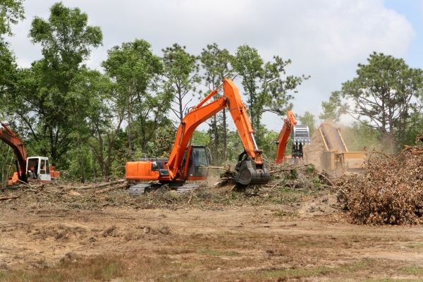 Commercial Lot Clearing in Lake City