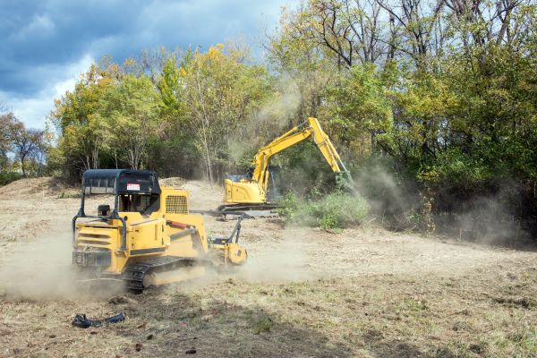 Terrain Clearing in Lake City