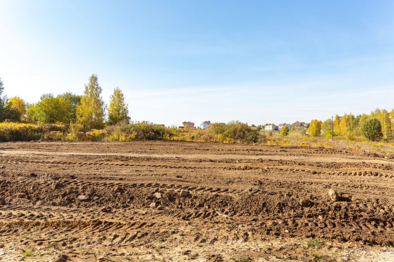 What’s Involved In Professional Land Clearing?